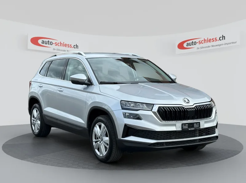Škoda Karoq in Silber